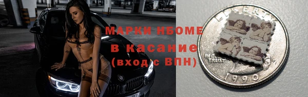 шишки Аркадак
