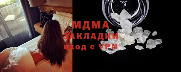 шишки Аркадак