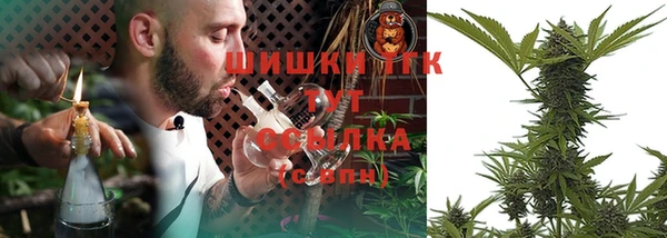 шишки Аркадак
